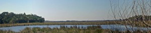 St. John's Marsh-1