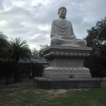 Seated Buddha at White